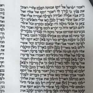 קלף ספר תורה ספרדי מהדרין