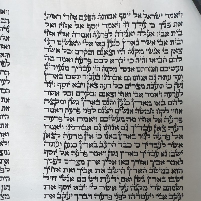 קלף ספר תורה ספרדי מהדרין